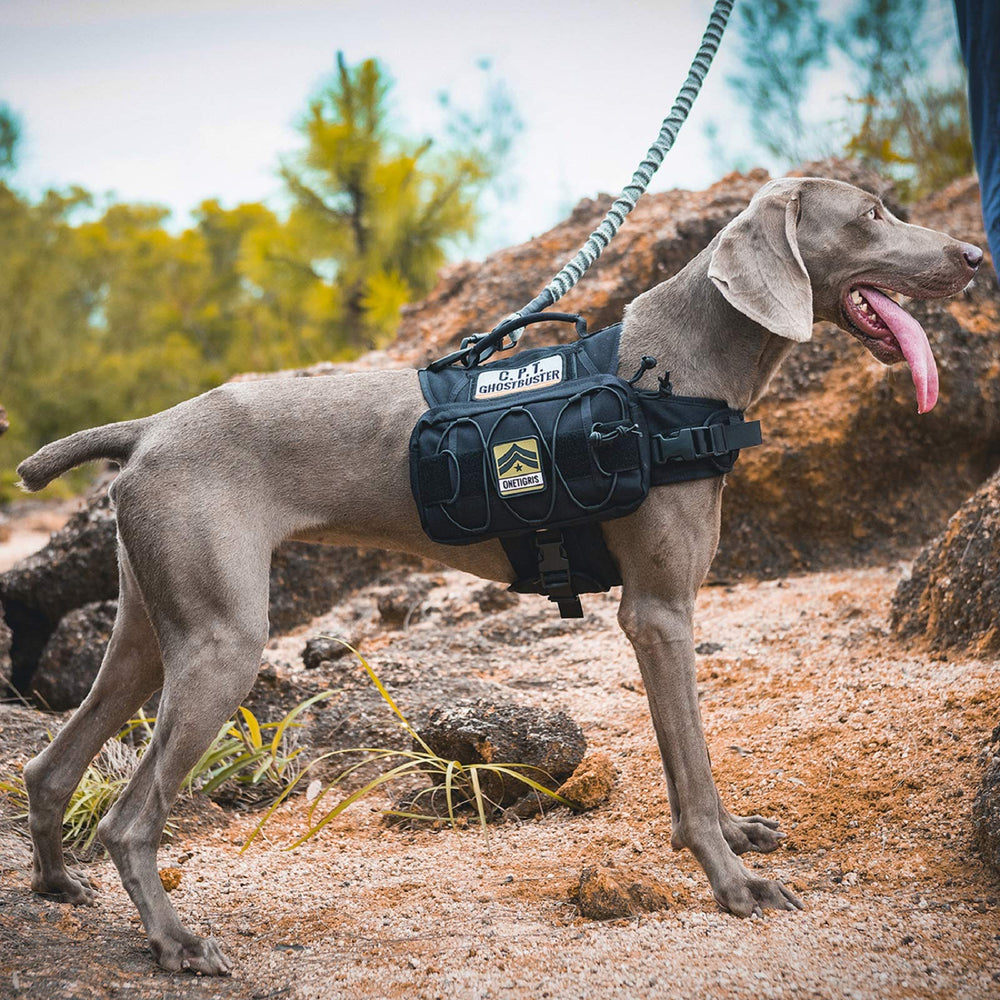 ONETIGRIS dog backpack outdoor-use scene conveys ready-for-hiking practicality