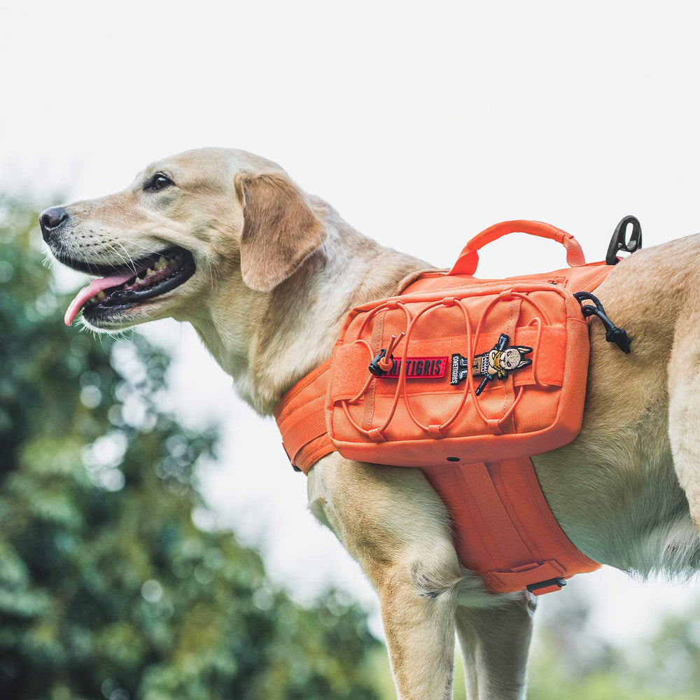 OneTigris Mammoth backpack fits a wide range of dogs for versatile outdoor use.