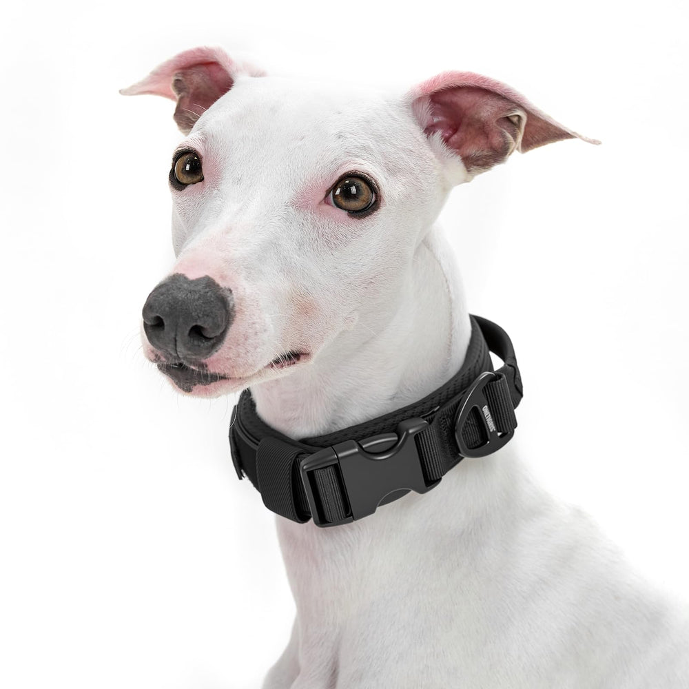 OneTigris small dog collar soft padded adjustable black for comfortable daily walks
