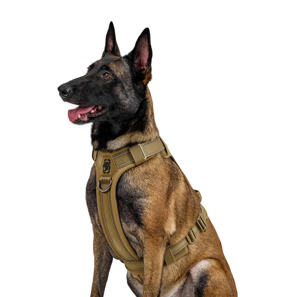 ONETIGRIS dog harness control handle and patch panel for quick restraint