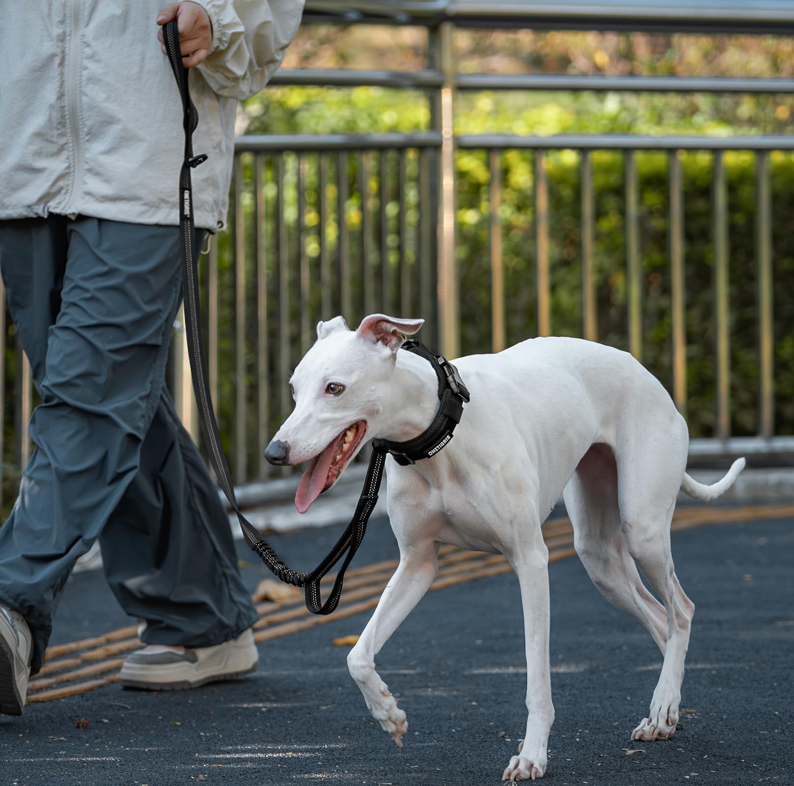OneTigris outdoor-ready leash shown on a hiking trail in black.