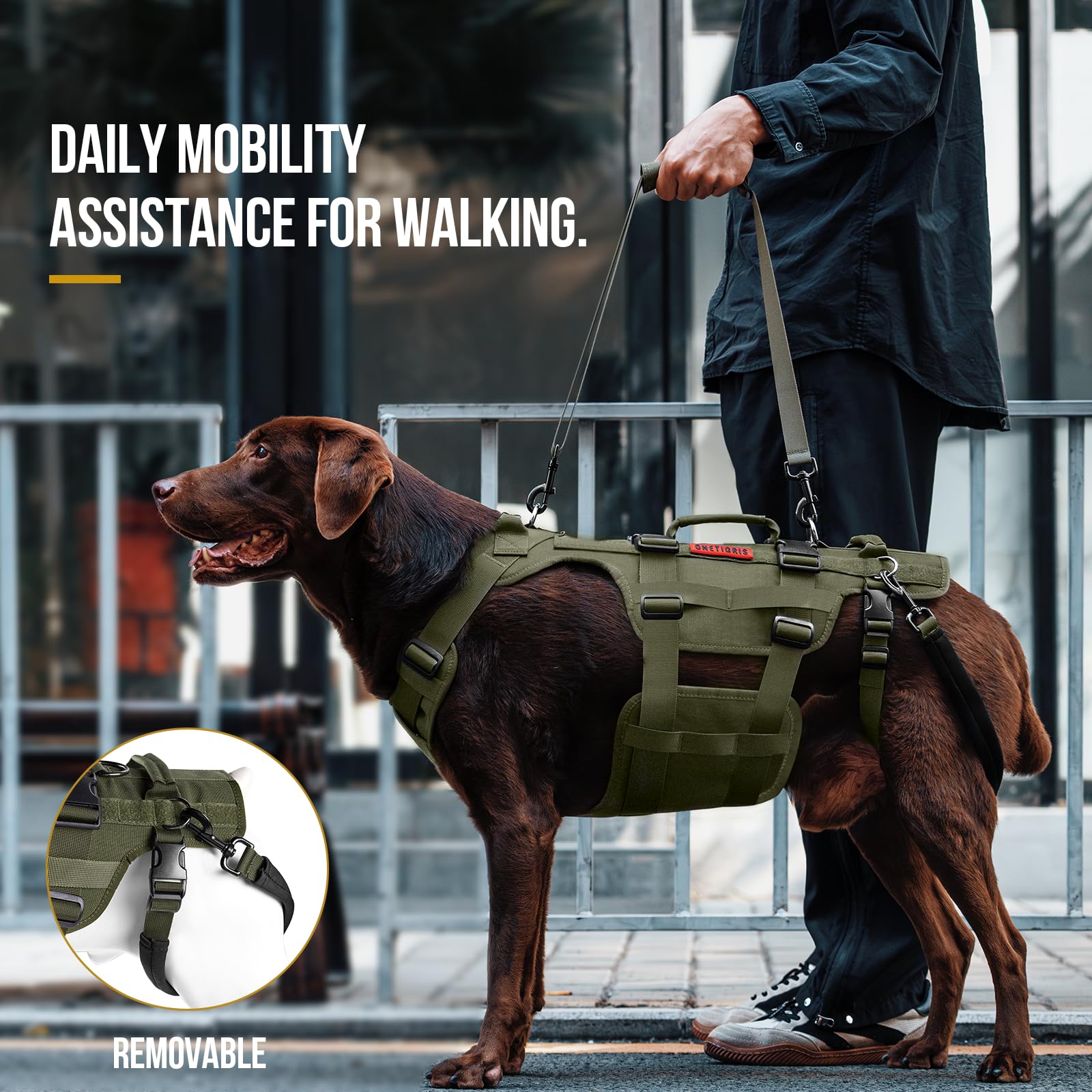 OneTigris dog lift harness back view reveals back support and handle access.