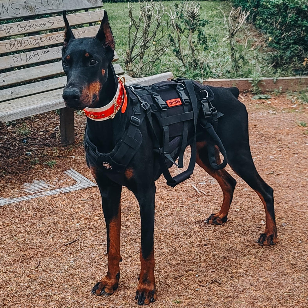 OneTigris dog lift harness detachable rear leg straps easy cleanup and flexible use.