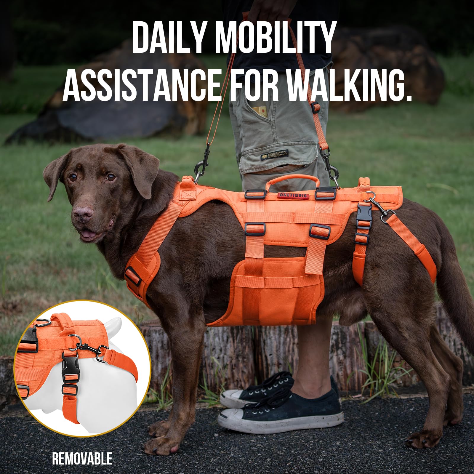 OneTigris dog lift harness grab handles enable safer stair climbing.
