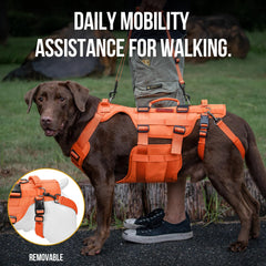 OneTigris dog lift harness grab handles enable safer stair climbing.