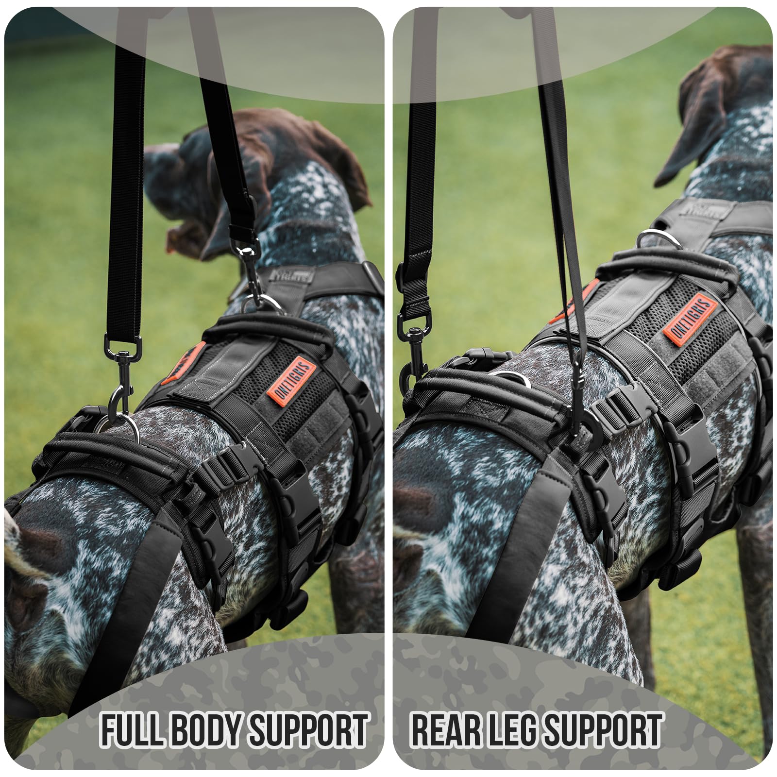 OneTigris hind leg support feature helps seniors during transfers and stairs
