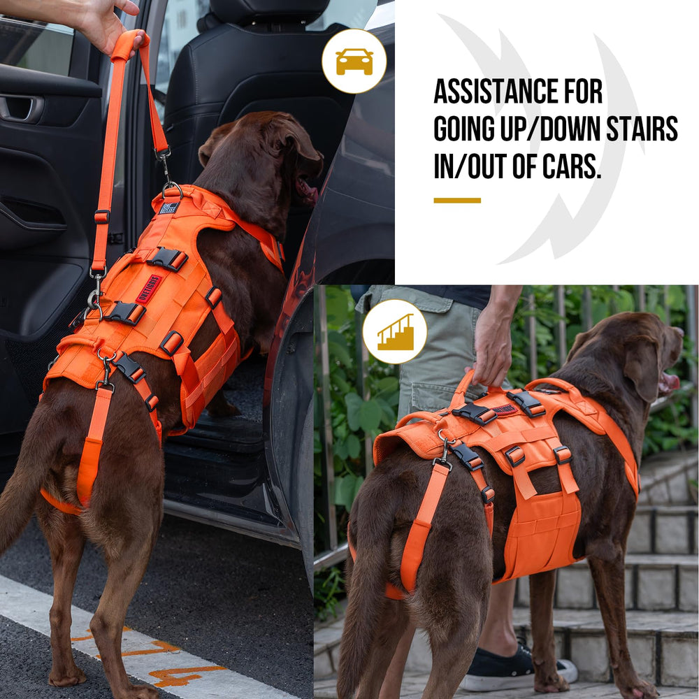 OneTigris dog lift harness rear straps with anti-chafe sleeves reduce rubbing.