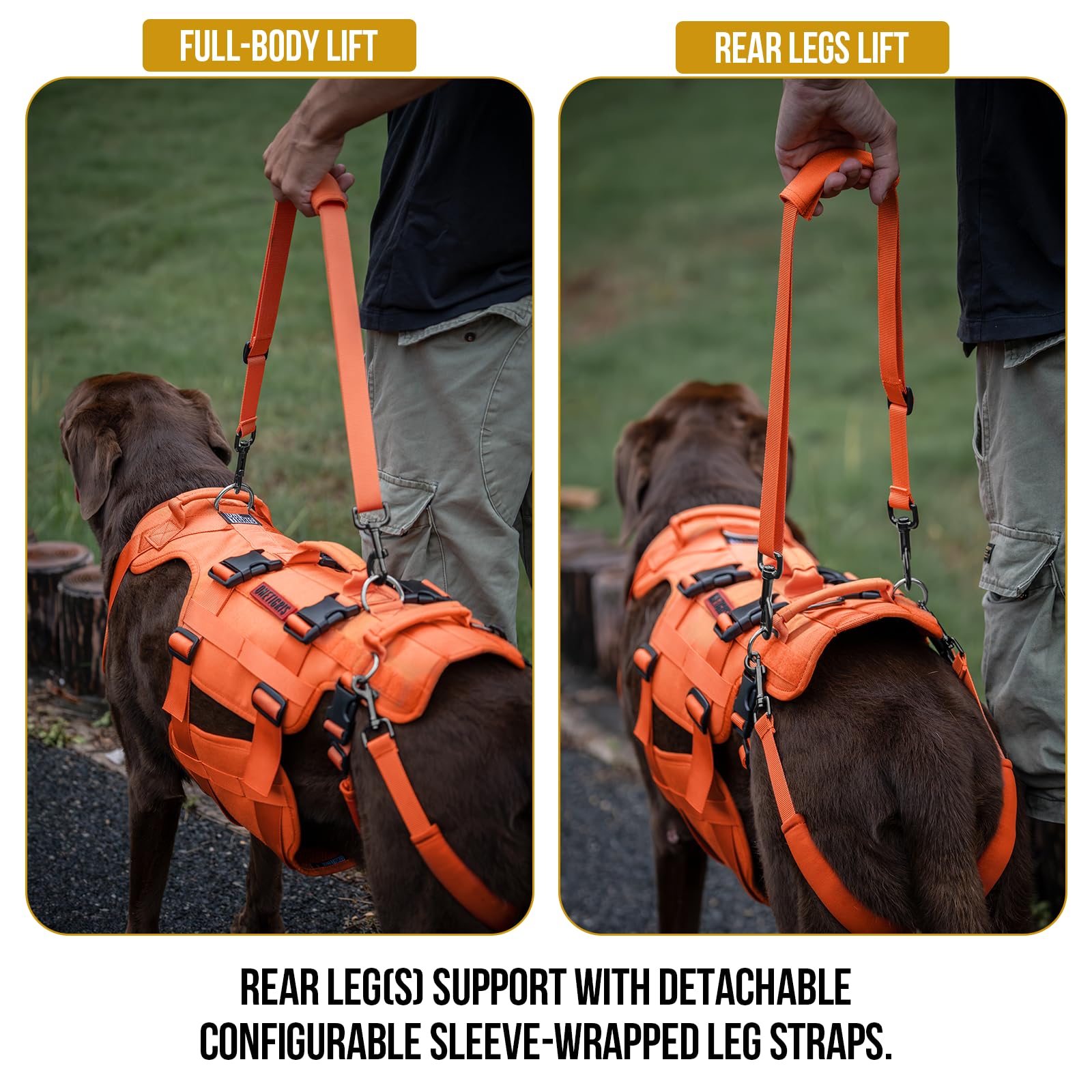 OneTigris dog lift harness side-worn demonstrates full-body stability during transfers.