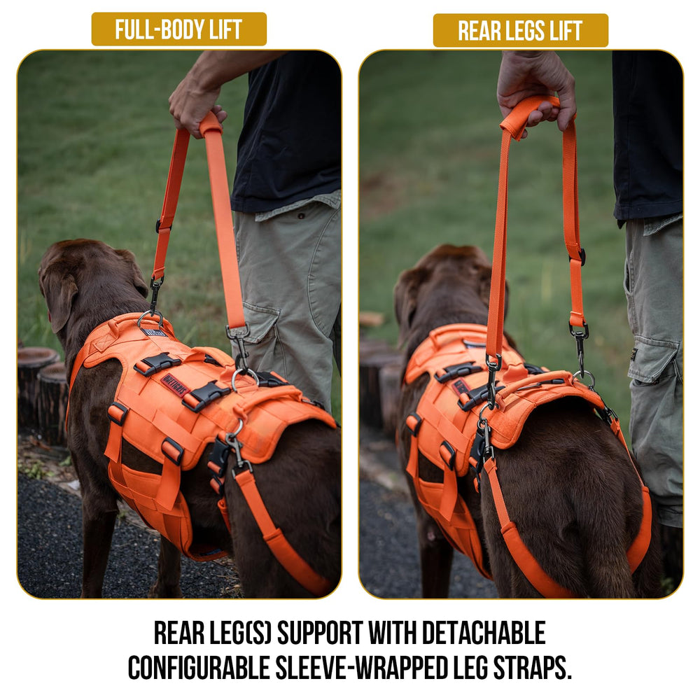 OneTigris dog lift harness side-worn demonstrates full-body stability during transfers.