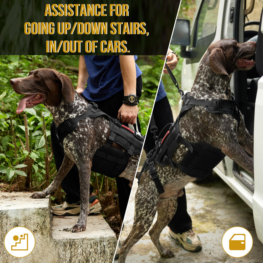 OneTigris dog lift harness stainless steel D-rings provide reinforced hardware for durability.