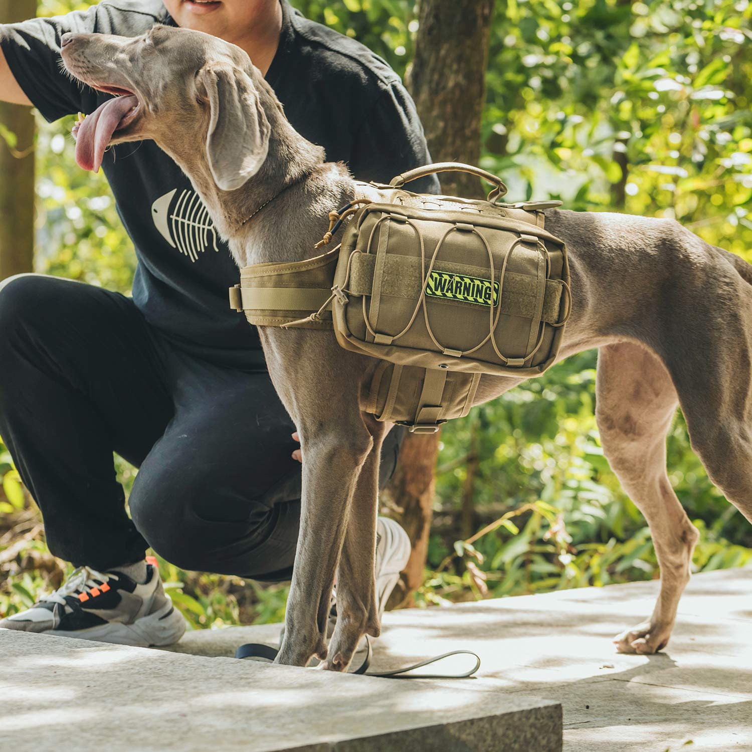 OneTigris Mammoth side pockets hold water, treats, and toys during hikes