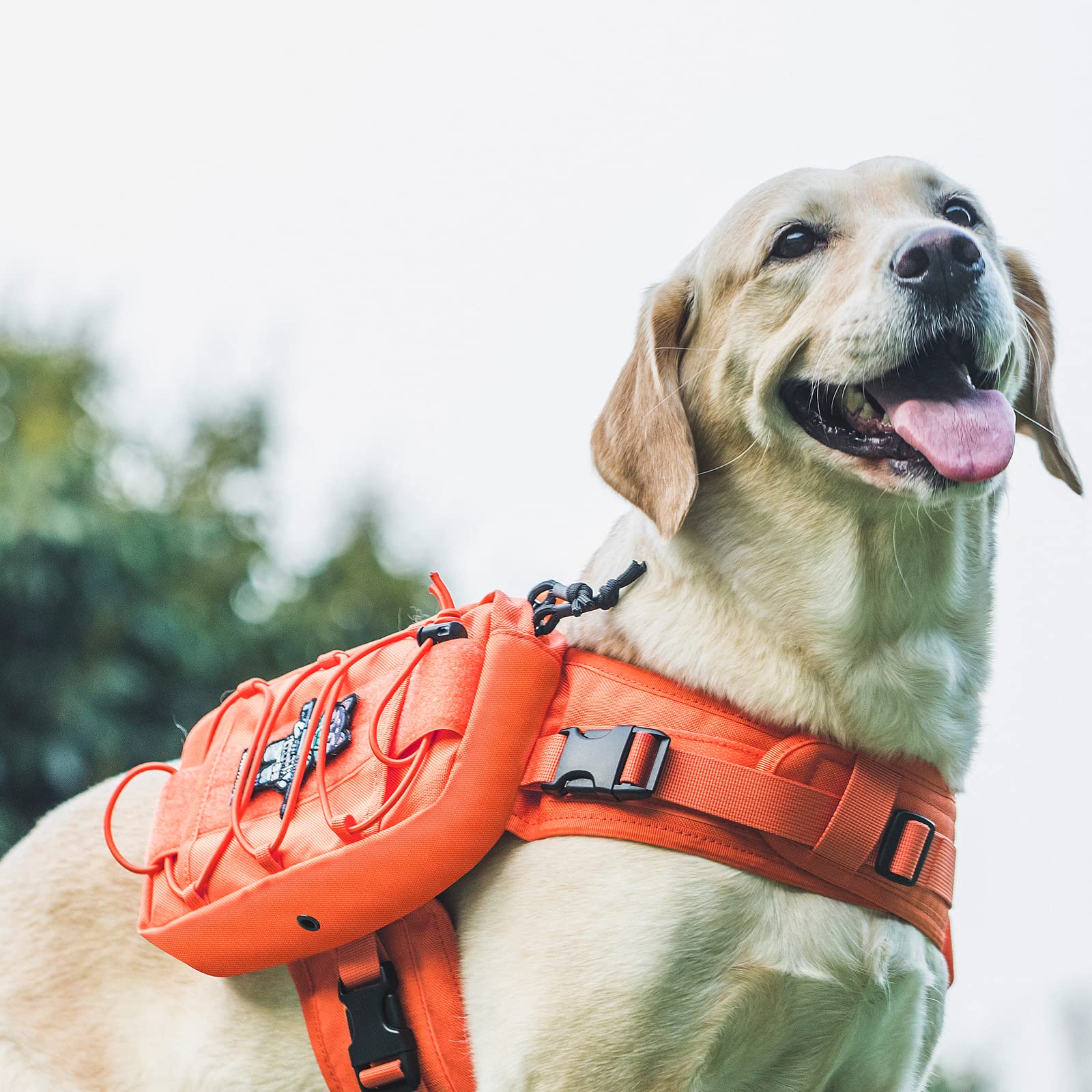 OneTigris dog pack side pockets highlight 3L storage for water and treats.