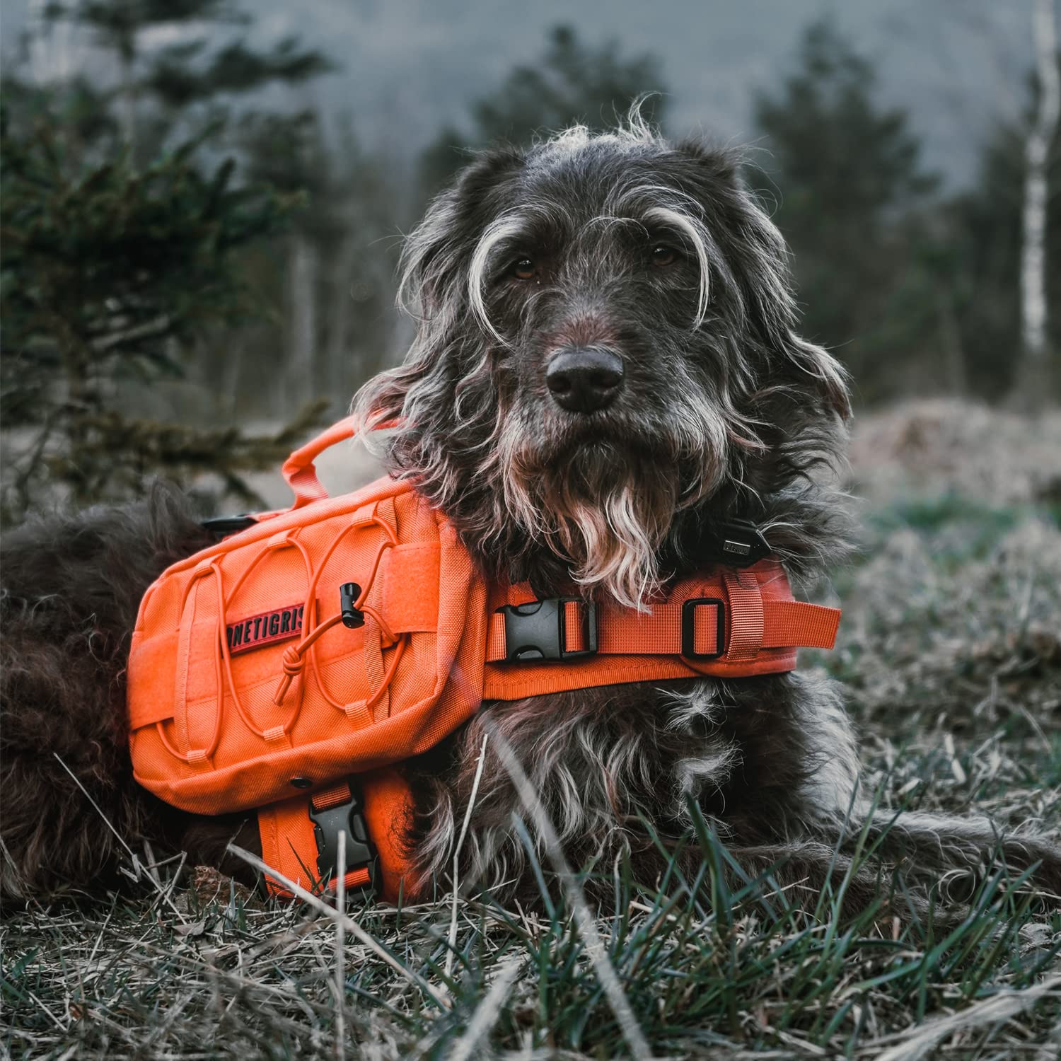 OneTigris dog pack with UTX-Duraflex buckles ensures a secure fit.