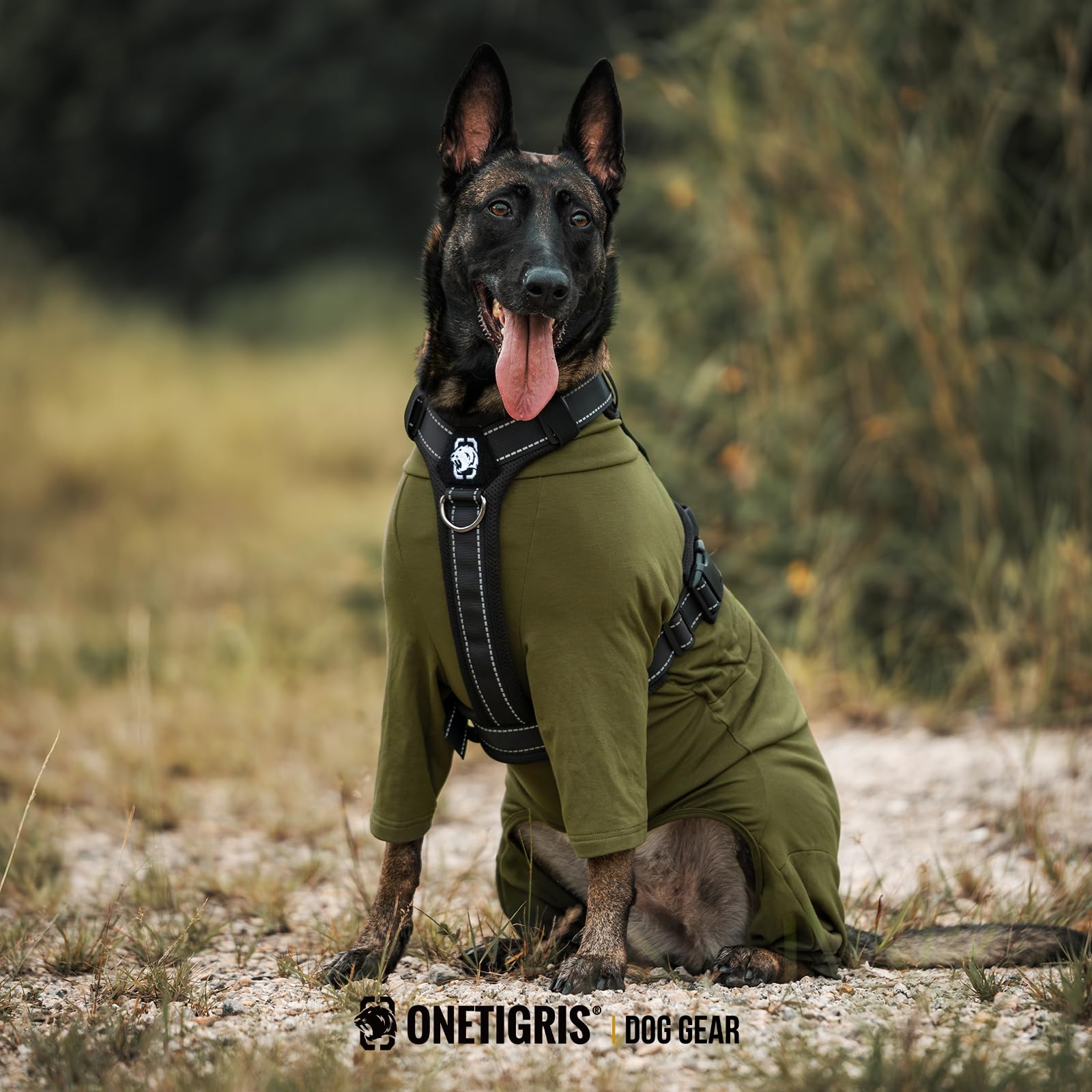 OneTigris Dog Pajamas worn by a dog outdoors in cold weather for warmth.
