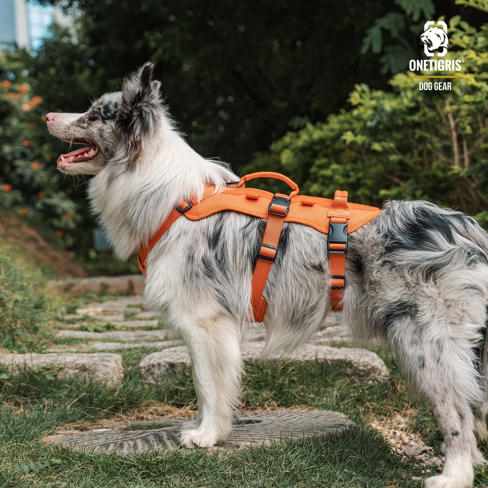 OneTigris adjustment-points illustrate easy fit across breeds and sizes