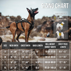 OneTigris escape-proof dog harness dual handles side view supports easy lifting over obstacles.