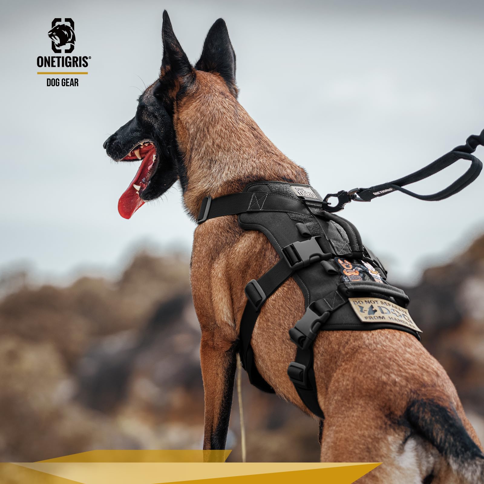 OneTigris size chart image explains S to XL fit options for dogs.