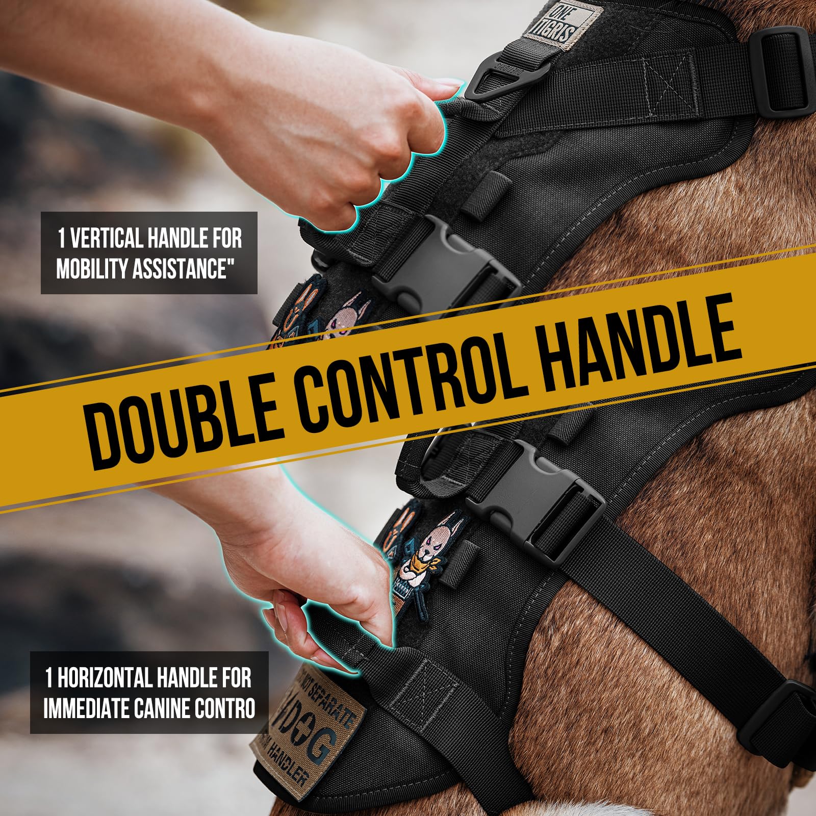 OneTigris harness with two handles provides assistive control for stairs and vehicles.