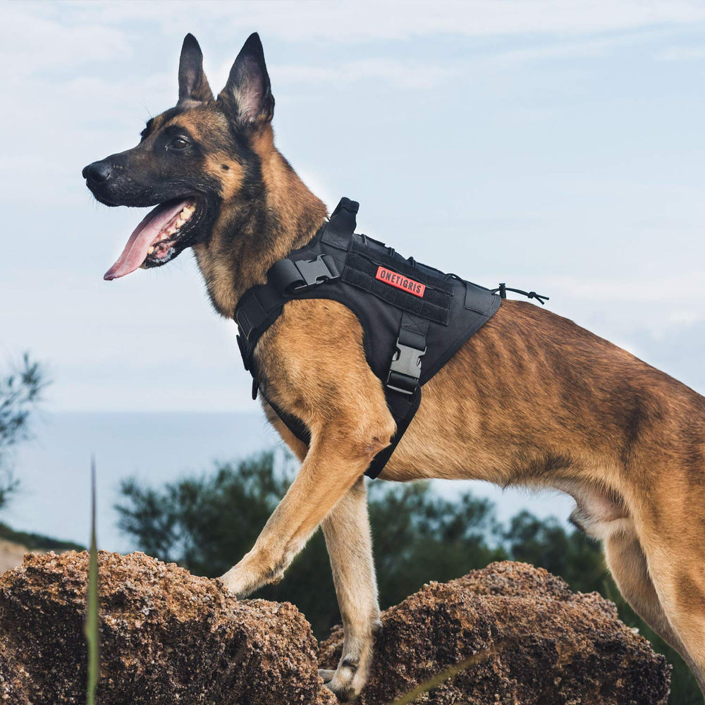 ONETIGRIS Fire Watcher patch panels for personalization with morale patches.