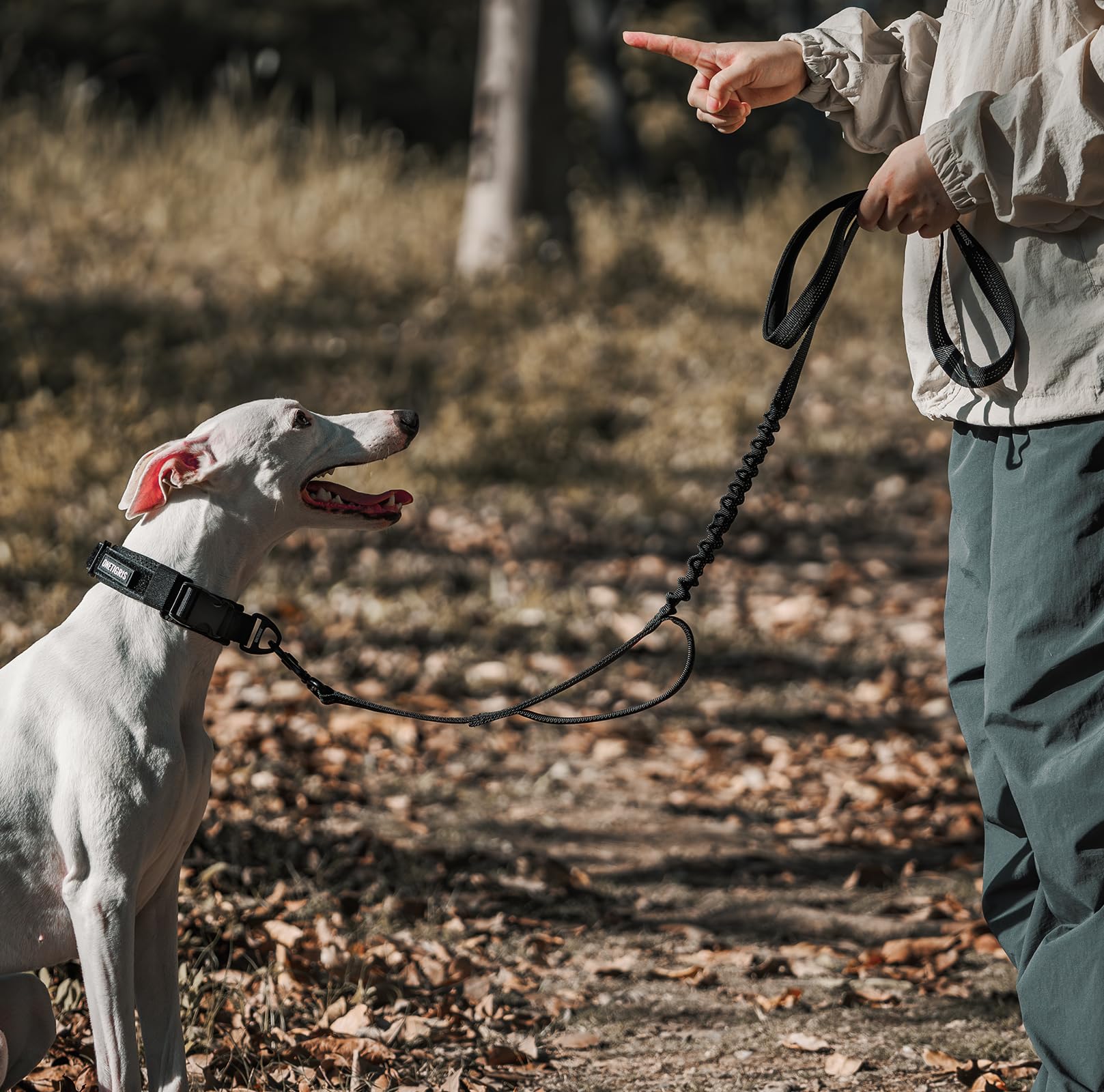 OneTigris black leash in use during an outdoor walk.