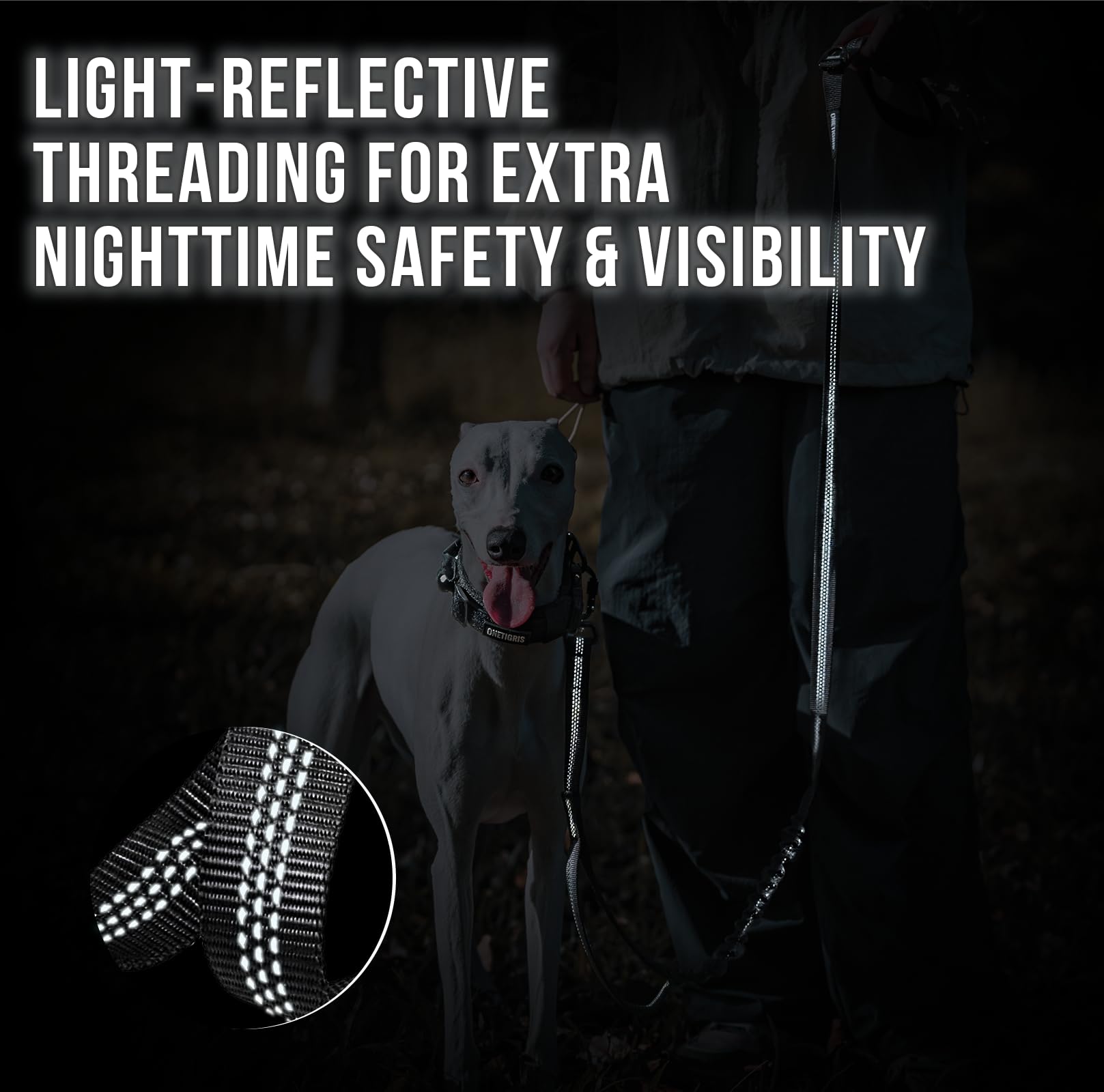 OneTigris leash with reflective threading for better visibility at night.