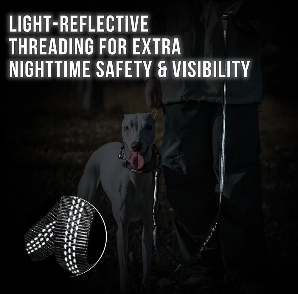 OneTigris leash with reflective threading for better visibility at night.
