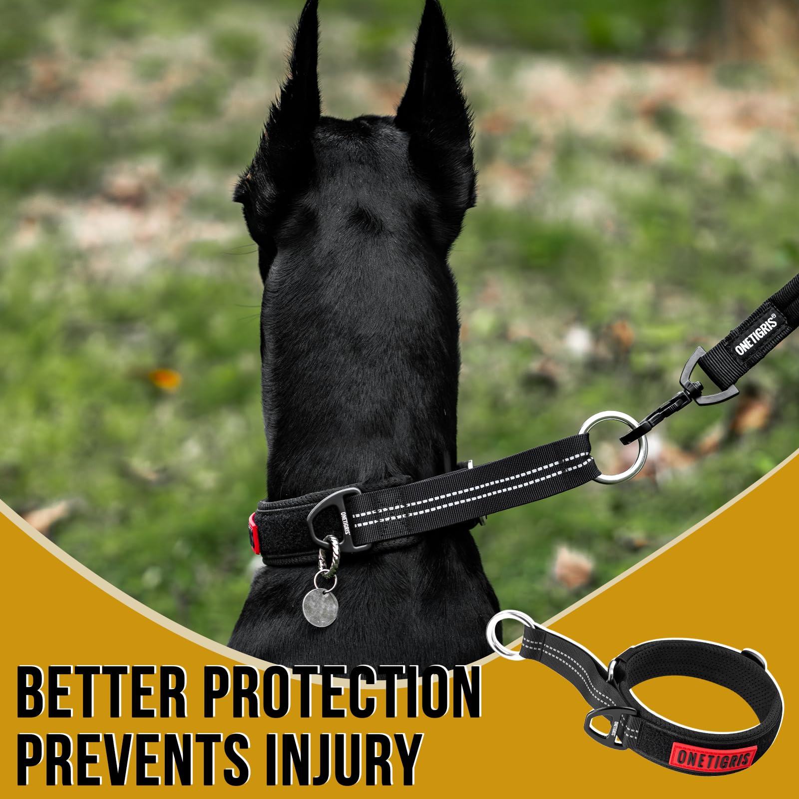ONETIGRIS martingale collar with dual D-rings for tags and leash connections