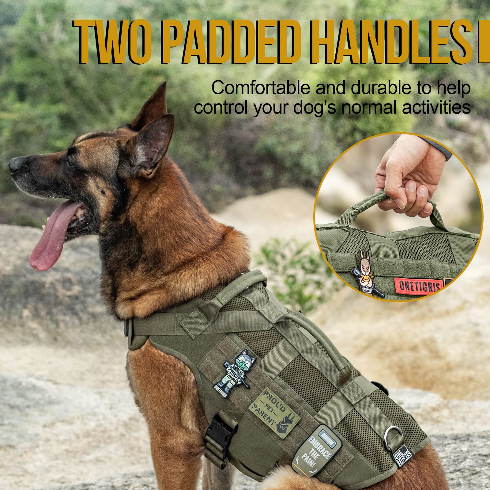 OneTigris No Pull D-ring close-up highlights training-ready front and back attachment points