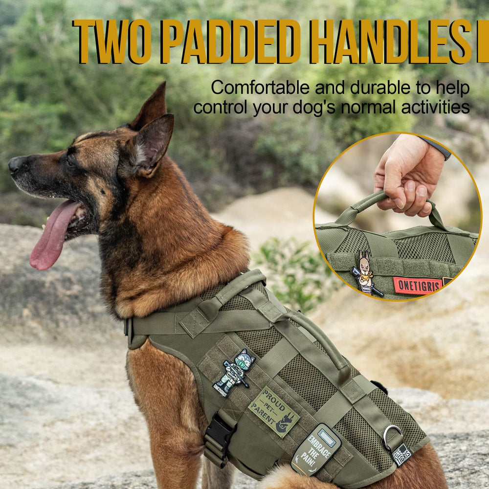 OneTigris No Pull D-ring close-up highlights training-ready front and back attachment points