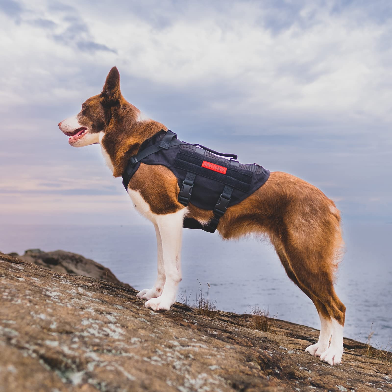 OneTigris No Pull harness 1000D nylon resists dirt, water, and abrasion.