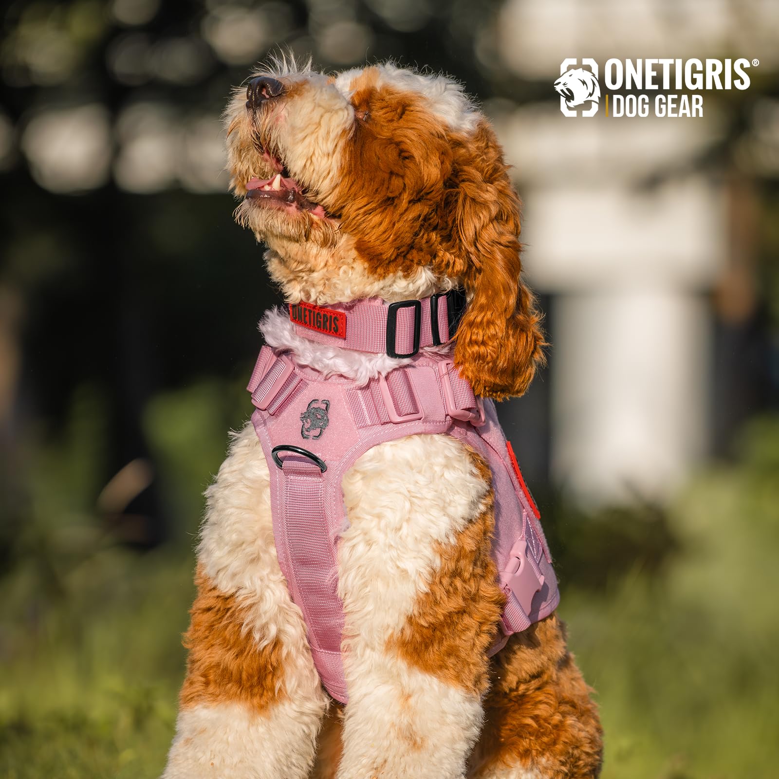 OneTigris padded nylon dog collar with soft lining protects skin during long sessions.