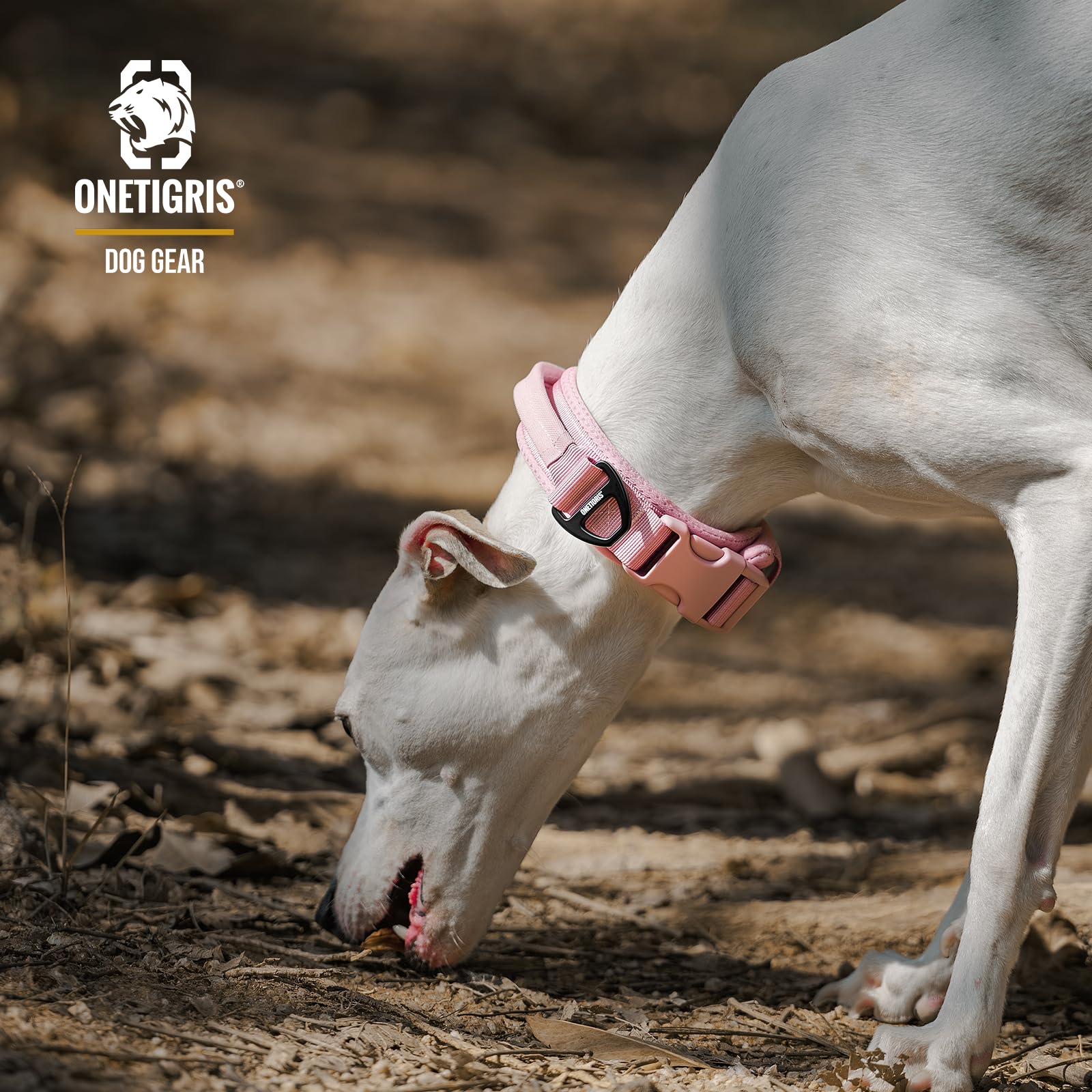 OneTigris pink dog collar with leash and tag clips for organized attachment and ID visibility.