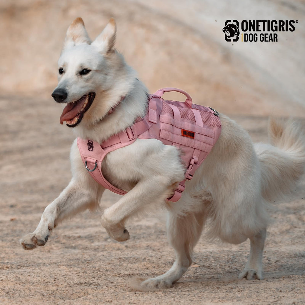 OneTigris pink harness close-up of MOLLE panel and durable 1000D nylon