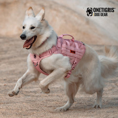 OneTigris pink harness close-up of MOLLE panel and durable 1000D nylon