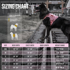 OneTigris pink dog harness side view showing MOLLE straps for gear