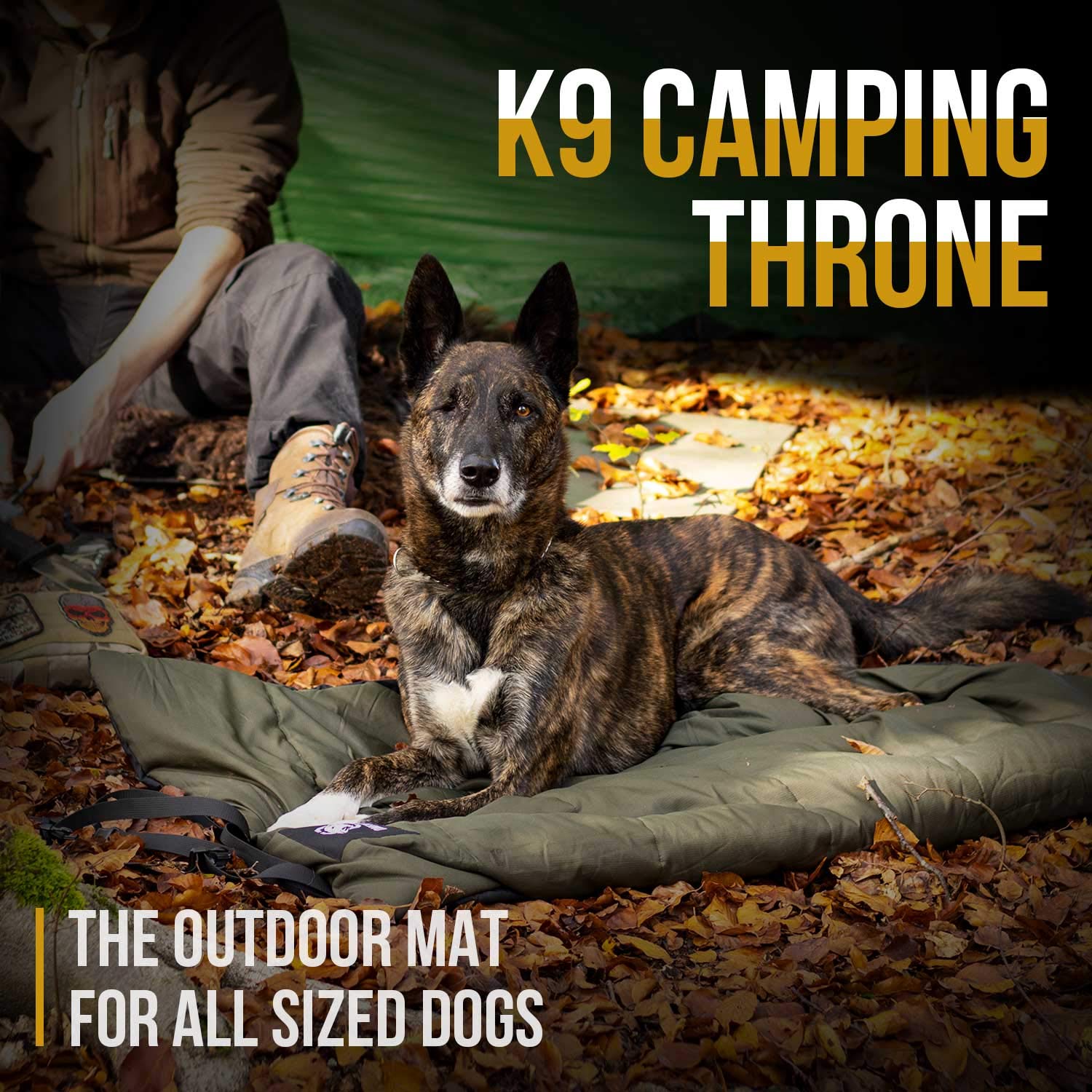 ONETIGRIS portable dog bed ideal for camping, hiking, and backyard lounging