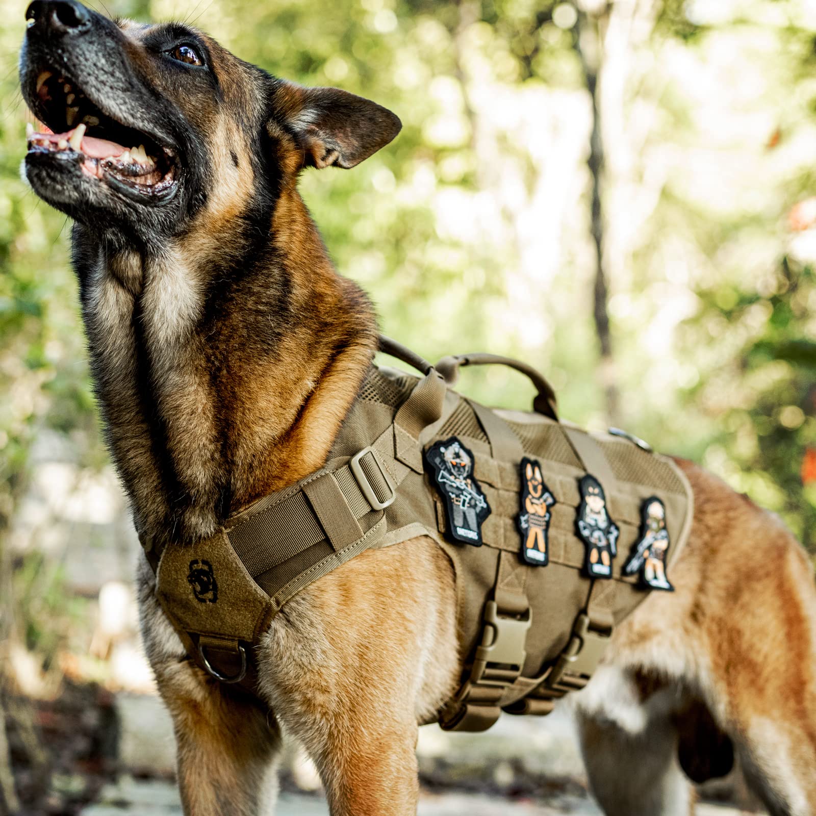 OneTigris service-dog harness use-case image conveys reliability for walking, hiking, or training