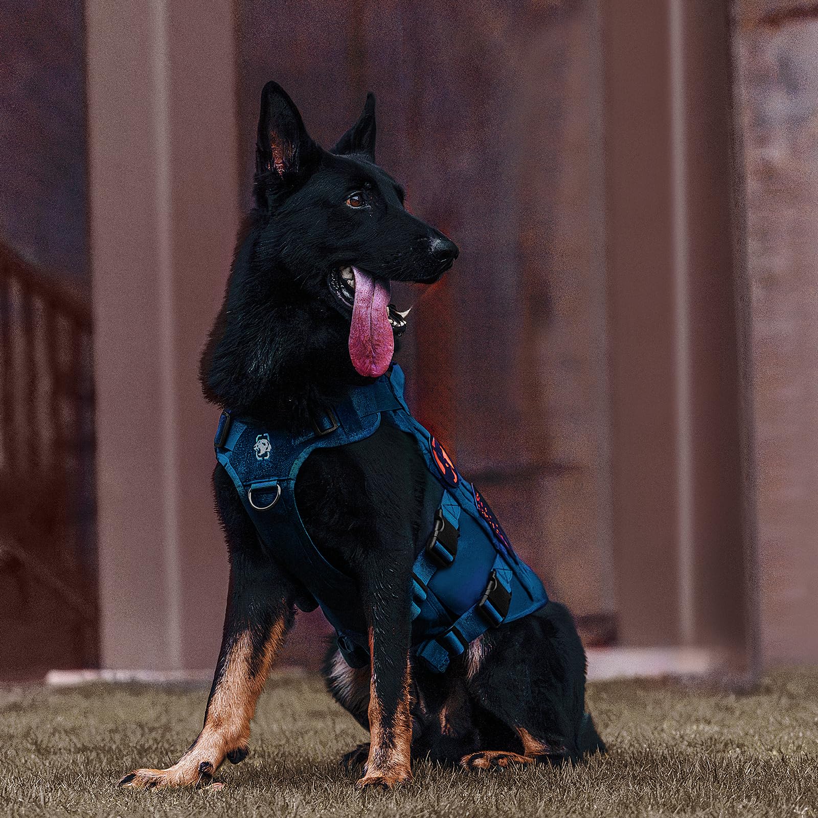 OneTigris service-dog kit attachments illustrate MOLLE compatibility for field-ready setups.