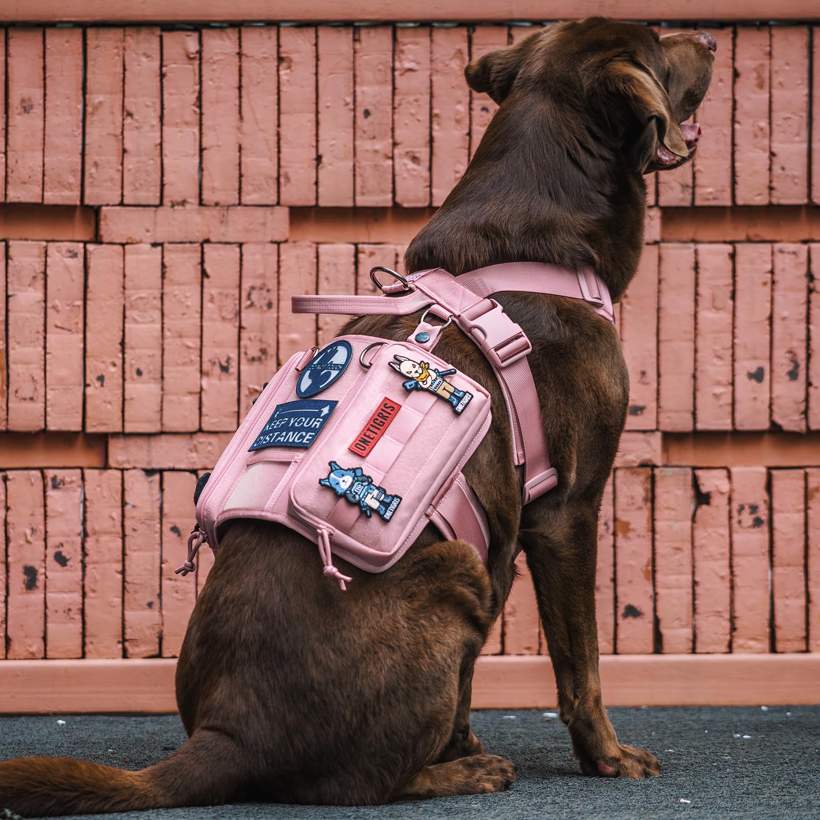 OneTigris service dog vest pink M sturdy D-rings and buckles for secure leash attachment.