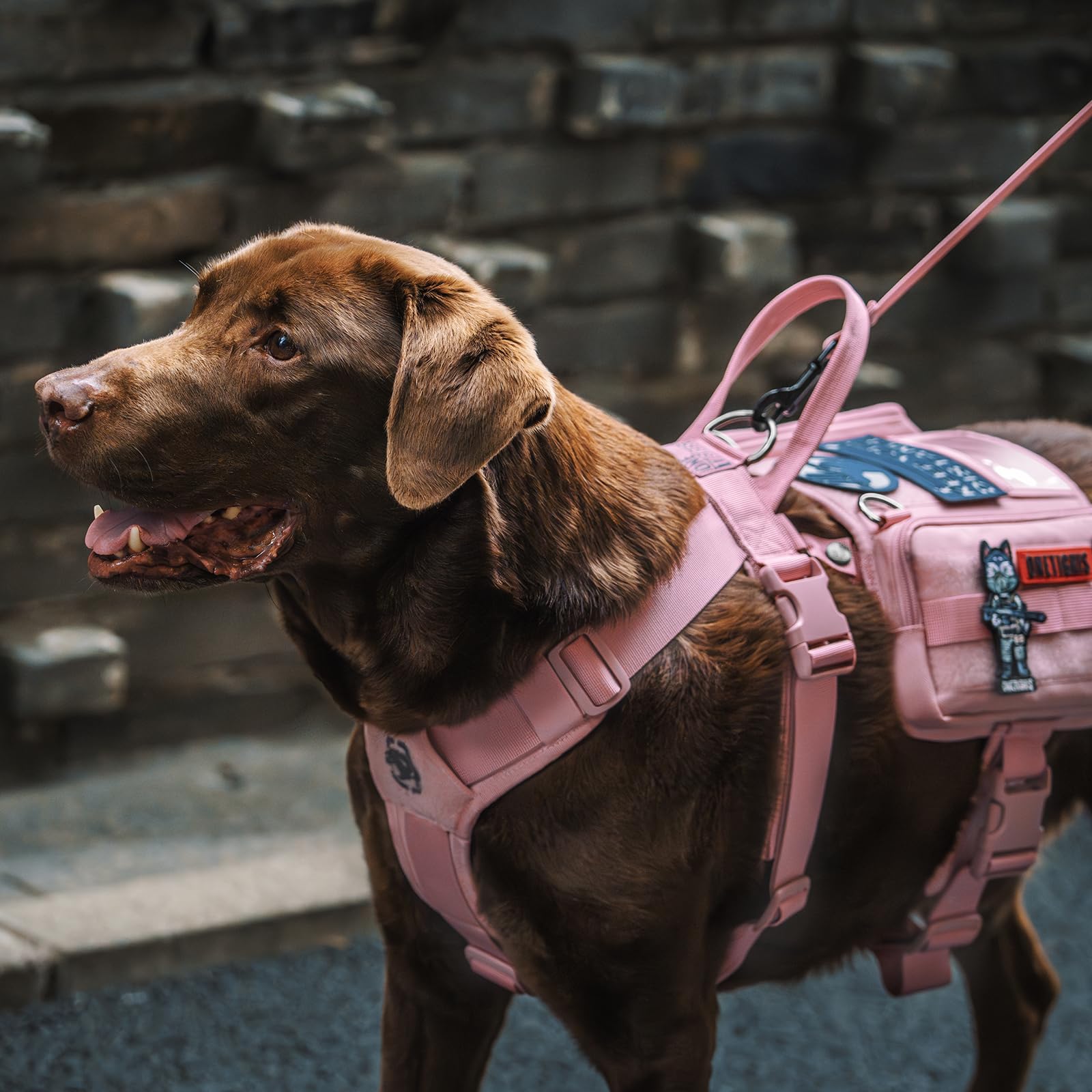 OneTigris service dog vest pink M in-use photo showing everyday practicality.