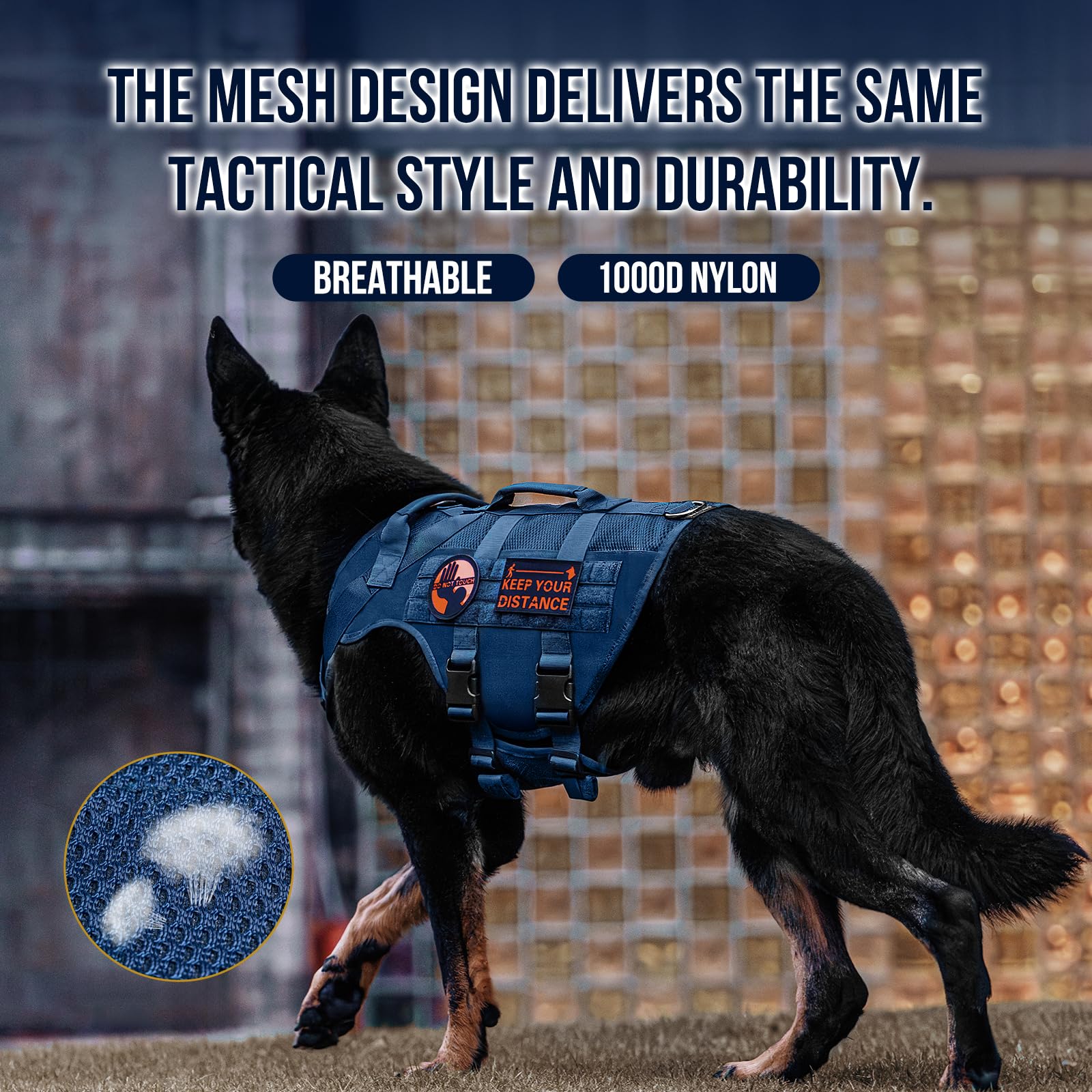 OneTigris size-chart view helps you select the right fit for different breeds.