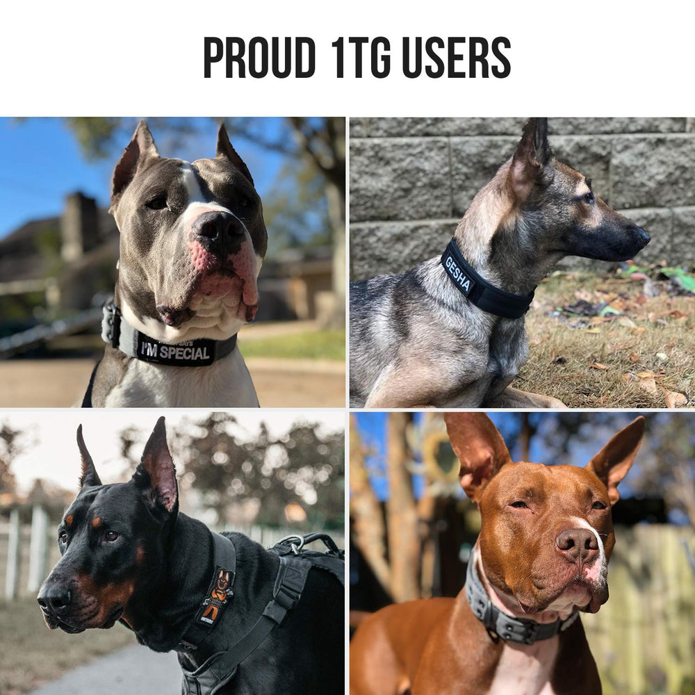 OneTigris tactical dog gear setup demonstrates compatibility with leash and other gear.