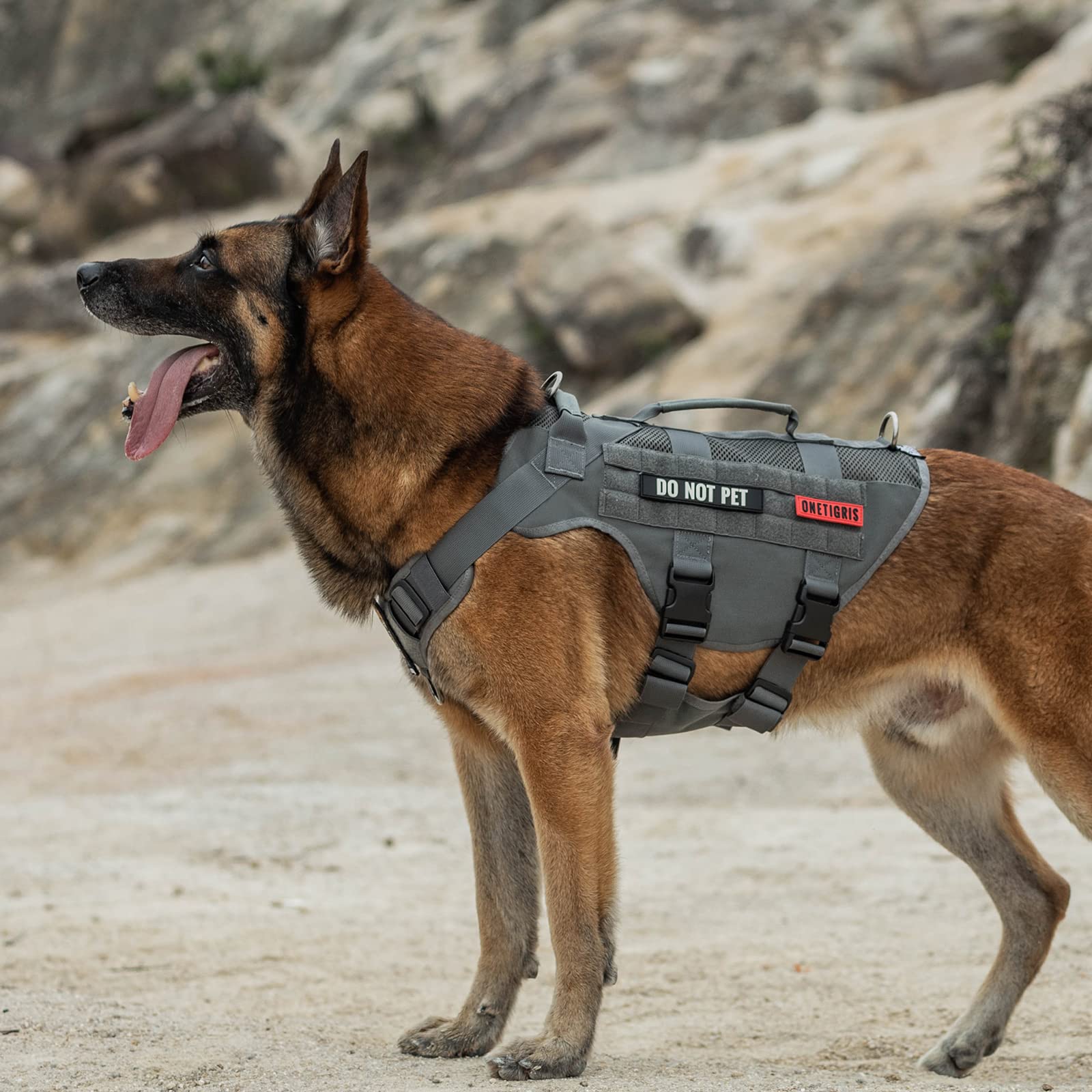 ONETIGRIS no-pull D-ring design supports training with various leash lengths.