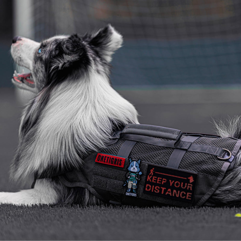 ONETIGRIS quick-release buckles and durable straps provide reliable adjustments.