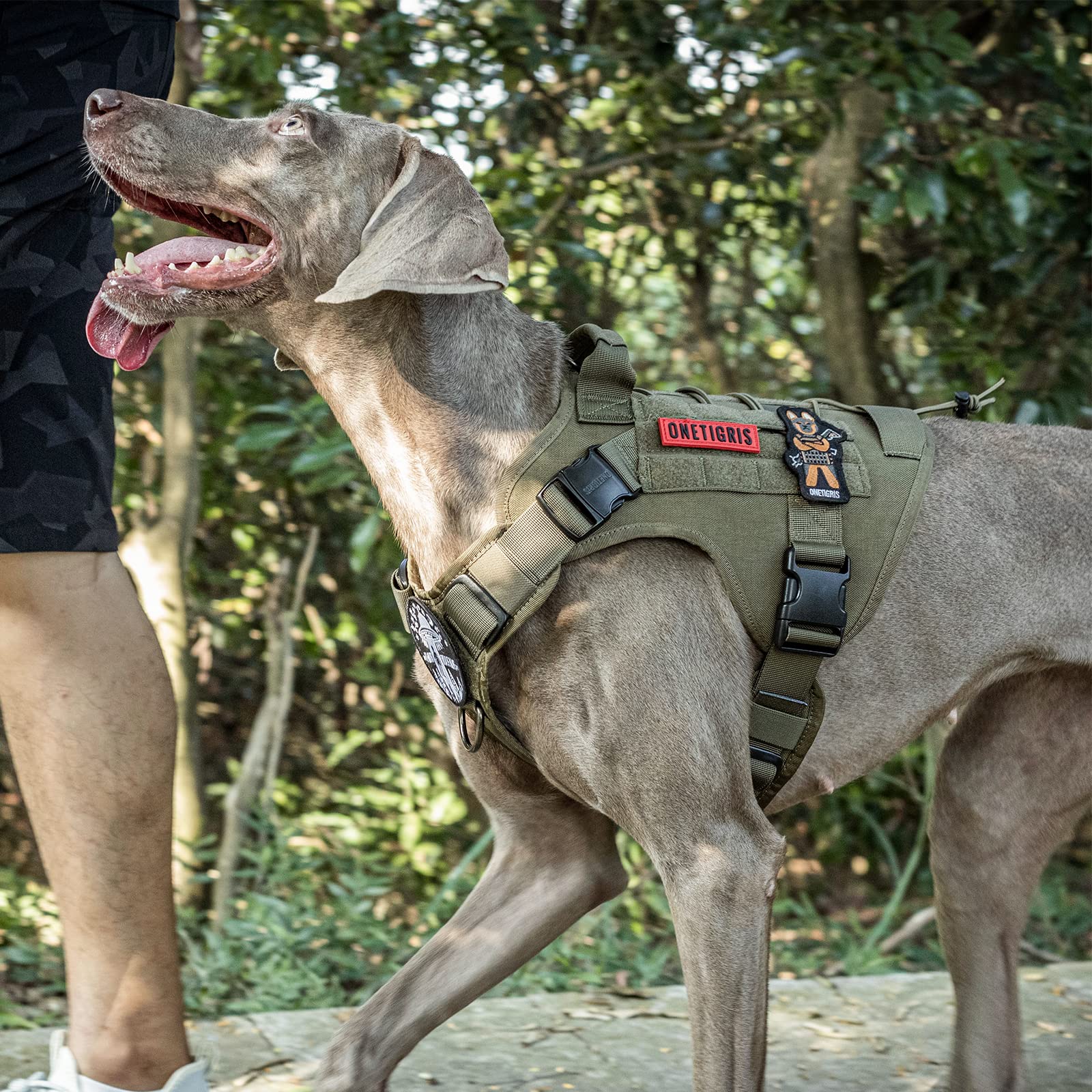 ONETIGRIS sizing guide image helps choose the right fit for your dog