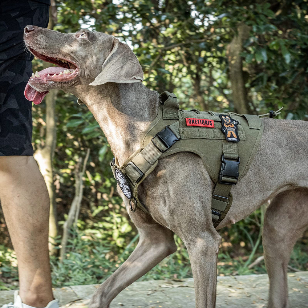 ONETIGRIS sizing guide image helps choose the right fit for your dog