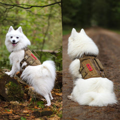 OneTigris tactical dog harness XS MOLLE panel close-up for add-ons.