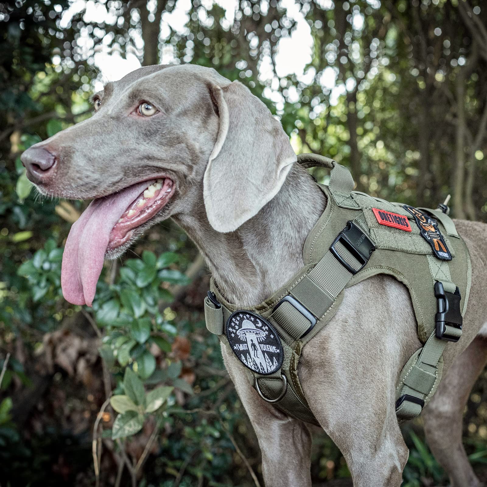 ONETIGRIS top handle close up ideal for traffic stops and lifting your dog