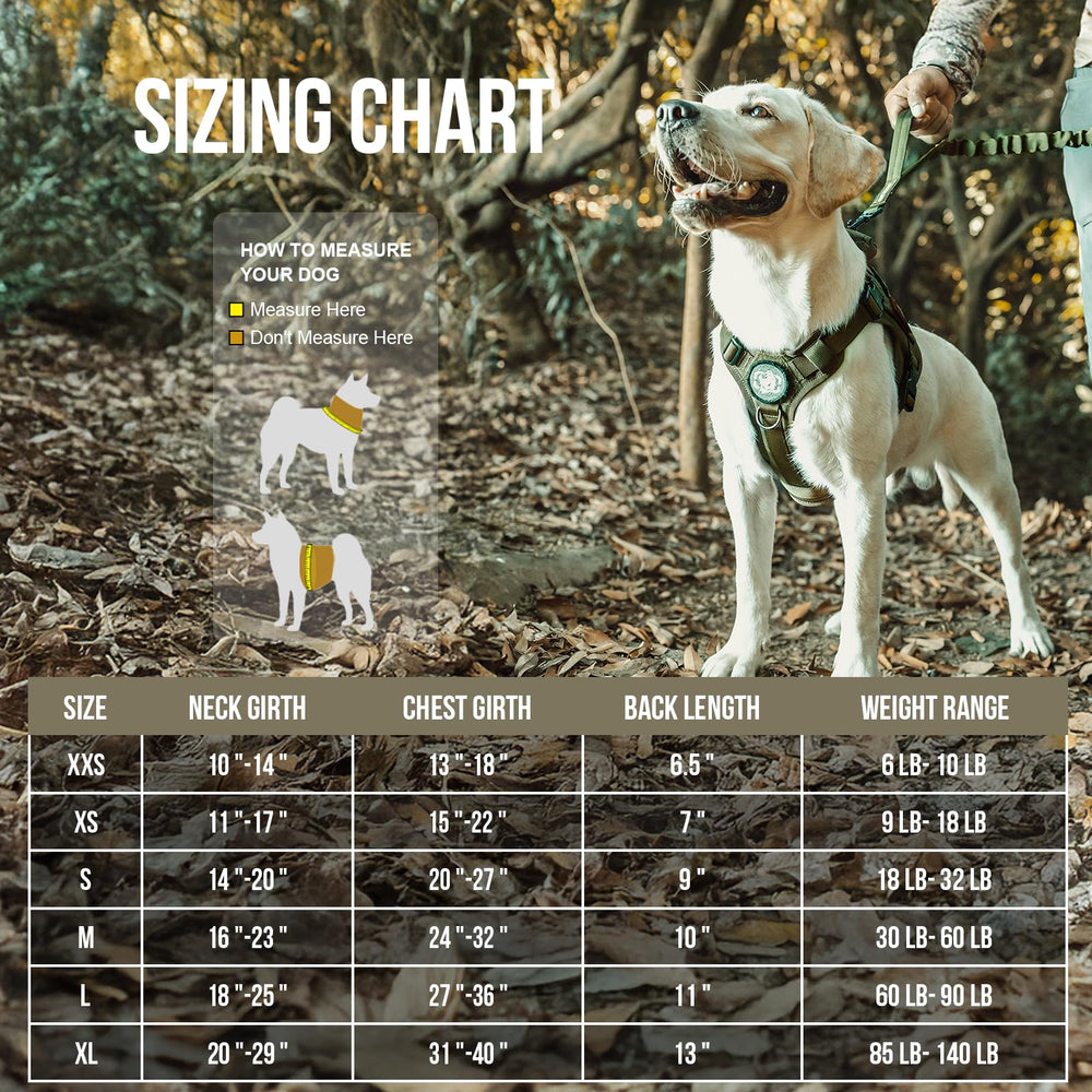 OneTigris dog harness top handle closeup, rapid traffic control during walks.