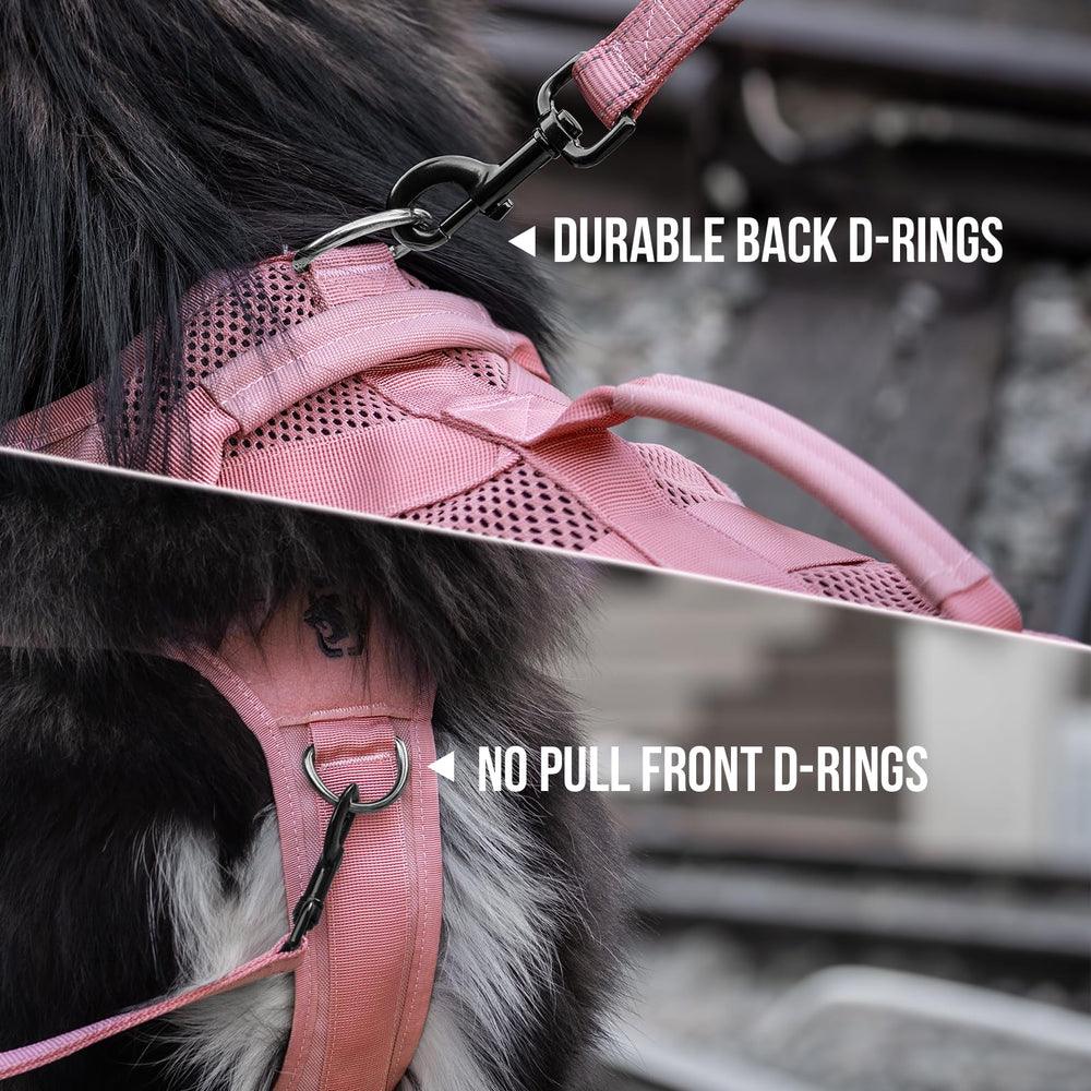 OneTigris three D-rings on back view for training and leashes